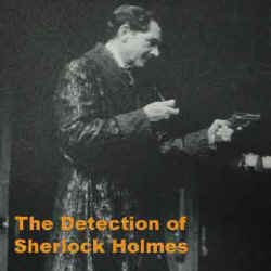 Illustration for The Detection of Sherlock Holmes
